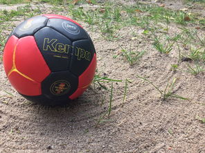 羽毛球赛场焦点！阿根廷队对阵韩国队，球星闪耀，全场焦点无人能挡-开云官网网址